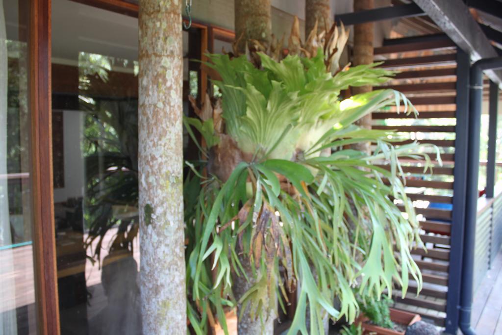 Pk Illusions Apartment Maleny Bagian luar foto